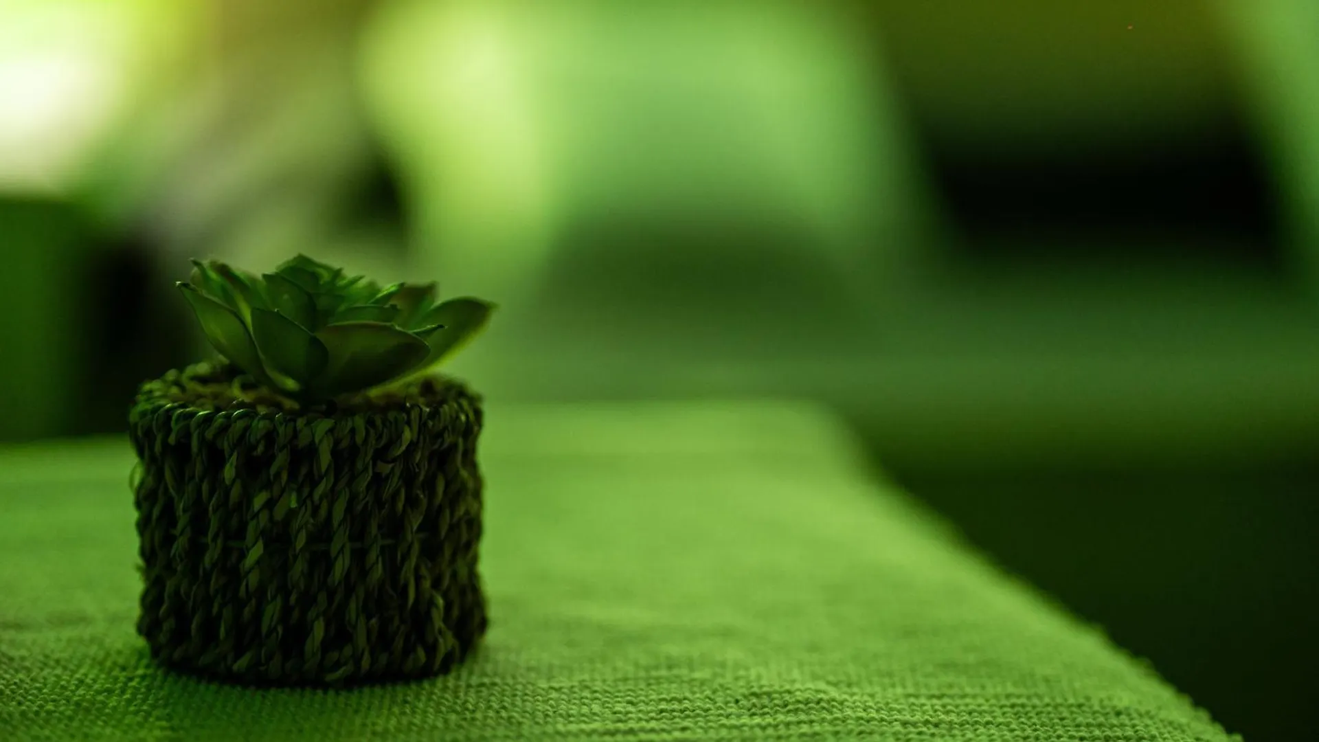 Rhelizeone & Spa جميل Palermo Italië