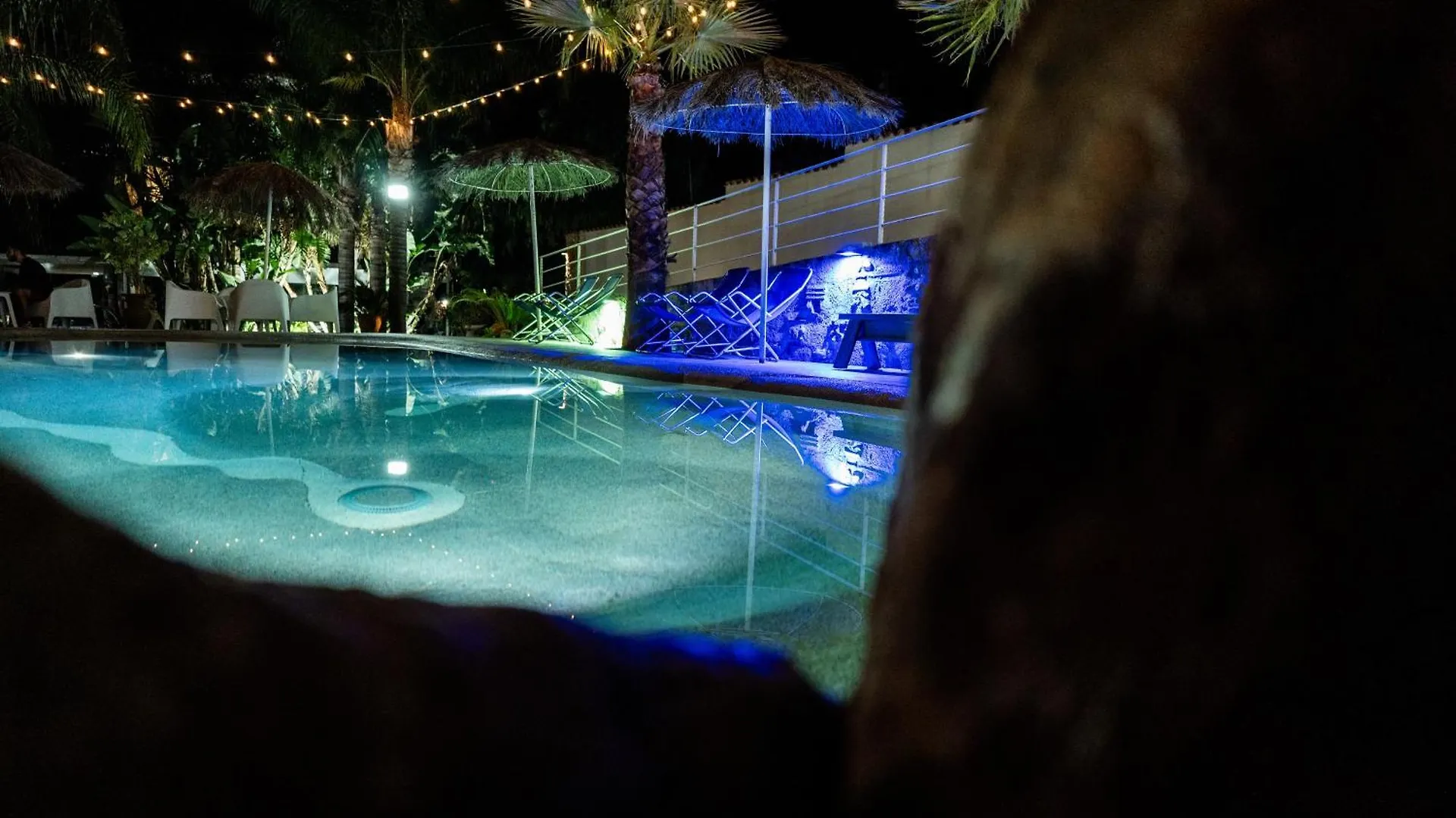 Bed & Breakfast Rhelizeone & Spa جميل Palermo